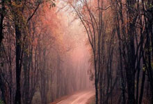 福安市锦冠食品有限公司介绍