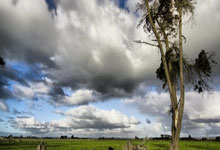 福安市锦冠食品有限公司介绍