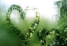 福安市锦冠食品有限公司招聘