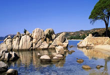 福安市锦冠食品有限公司介绍